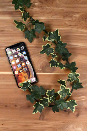 phone X foliage