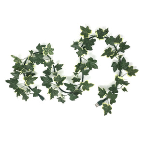 electroVine phone X cable with variegated ivy leaves